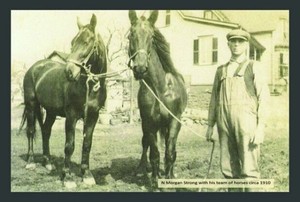 Farm Life in Vernon and its Environs in the 19th Century