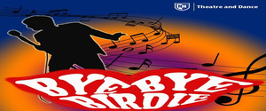 Bye Bye Birdie