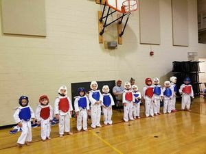 Taekwondo Kids Classes (Ages 4-6)