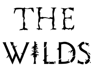Becky and The Beasts @ The Wilds
