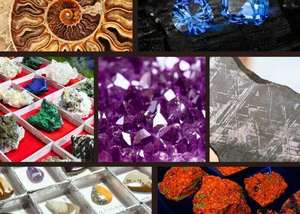 The 61st Annual Atlantic Coast ﻿Gem, Mineral, Jewelry and Fossil Show
