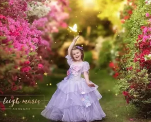 Fairy Party & Parade