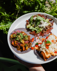Amasa x The Standard Pop-Up Dinner