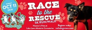 NOLA Dogs “Race to the Rescue” 5K Run/Walk and Blessing of the Pets