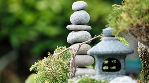 Free Tai Chi Class at Vineland Public Library