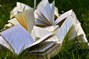 In the Skies: A Fantasy Book Club for Adult Readers at Vineland Public Library