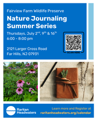 Nature Journaling Summer Evening Series