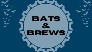 Bats and Brews