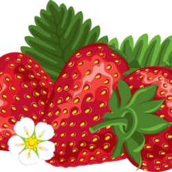Strawberry Fest