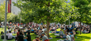 Summer Music Series: Onestraw Presents