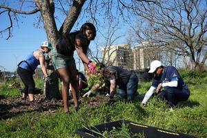 Community Volunteer Event: Care for Springdale Neighborhood Park