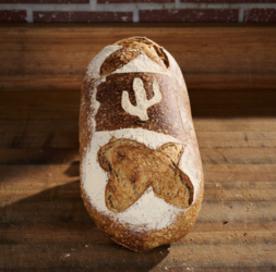 Barrio Bagel & Slice Celebrates Summer Specials Offers for Loyalty Rewards JUN 29-Aug 6