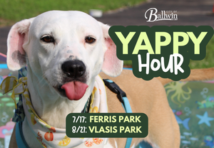 Yappy Hour