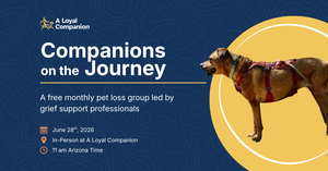 Companions on the Journey