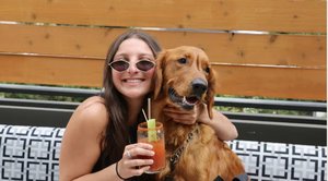 Pups on The Patio