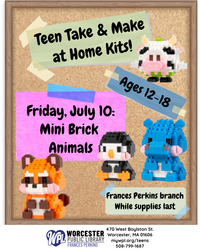 Teen Take & Make Craft Kits