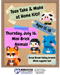 Teen Take & Make Craft Kits