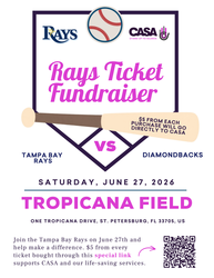 Tampa Bay Rays Game Benefiting CASA Pinellas