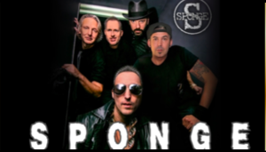 SPONGE