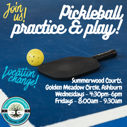 Pickleball Wednesday practice & play!