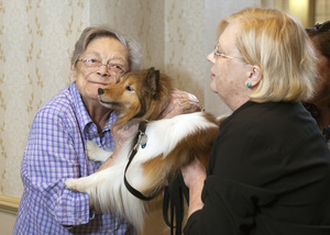 Fairfax Pets on Wheels New Volunteer Orientation