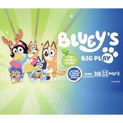 Bluey's Big Play