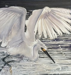 For the Birds - An Artful Fundraiser