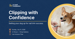 Clipping with Confidence: Setting your dog up for nail trim success.