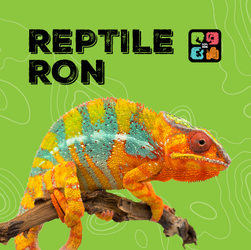 Kingsburg Library Reptile Ron Animal Presentations