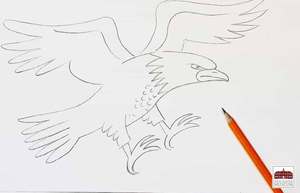 Icons of the Air: Symbols, Art, & the Great Eagle Debate