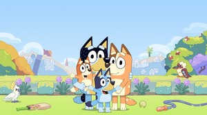 Bluey Party