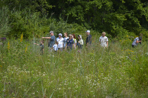 An Exclusive Evening of Summer Workshops: Pollinators, Plants, & Nature Journaling