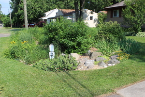 Rain Garden Design Workshop