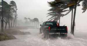 Hurricane Preparedness