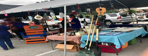 The Great Florida Yard Sale