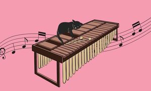 Marimba Church