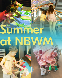 Summer at the New Bedford Whaling Museum