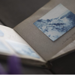 Cyanotype Sunprint Workshop with Marina Dawn Wells, PhD