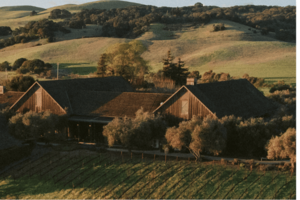Pour + Explore: Sonoma Valley