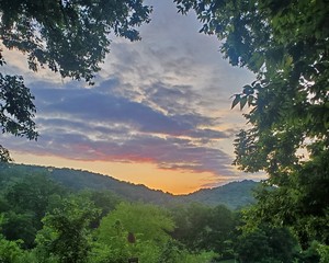 Summer Nights at Owl's Hill