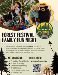 Forest Festival Family Fun Night