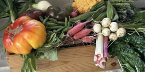 Summer Harvest Dinner 2026