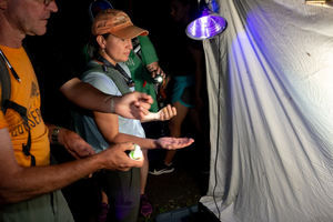 Moth Lighting at Graham Nature Preserve