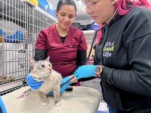 Joybound People & Pets Free Pet Vaccine and Microchip Clinic 