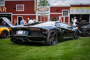 Sonny Acres Farm Revs Up for 3rd Annual ChiTown Exotic Car Show July 26