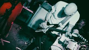 Exit Angles (Wheeling, WV), Tina Fey, Siren Suit, Nervous Verbs