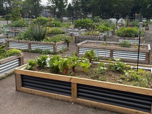 Penn State Master Gardeners Open Days Series Showcases Six Demonstration Gardens July 25th