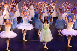 Nutcracker: Land of Enchanted Sweets - 4 Performances this weekend.