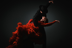 Flamenco Arts International presents Encuentros