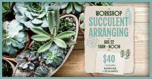 Middlebrook Farm: Succulent Arranging Workshop